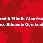 Tepecik Çamlık Piknik Alanı’na Gitmeden Önce Bilmeniz Gerekenler