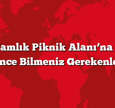 Tepecik Çamlık Piknik Alanı’na Gitmeden Önce Bilmeniz Gerekenler