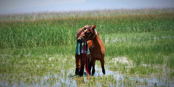 Ardahan Mutlaka Gezilmesi Gereken 10 Yer