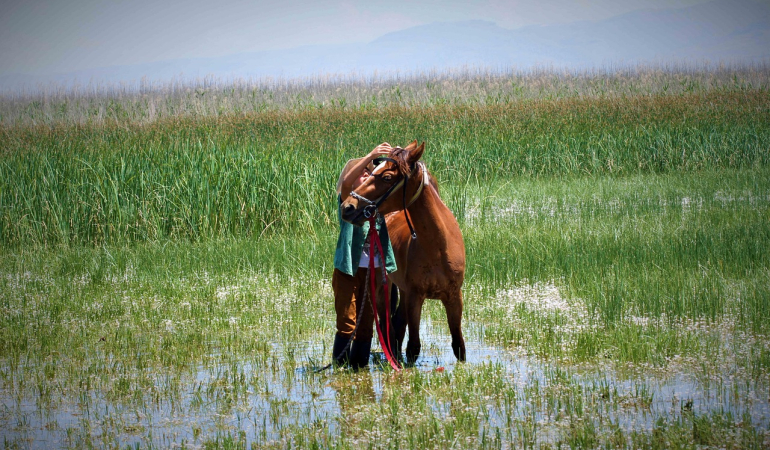 Ardahan Yazın Gezilecek Yerler