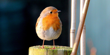 Batman Yazın Gezilecek Yerler