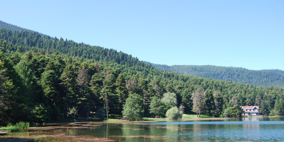 Bolu Mutlaka Gezilmesi Gereken 10 Yer