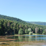 Bolu Yazın Gezilecek Yerler
