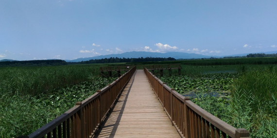 Düzce Mutlaka Gezilmesi Gereken 10 Yer