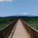 Düzce Yazın Gezilecek Yerler