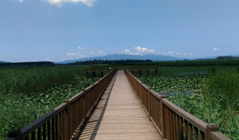 Düzce Yazın Gezilecek Yerler