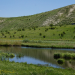 Erzurum Yazın Gezilecek Yerler