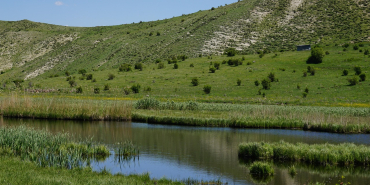Erzurum Yazın Gezilecek Yerler