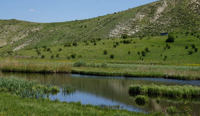 Erzurum Yazın Gezilecek Yerler