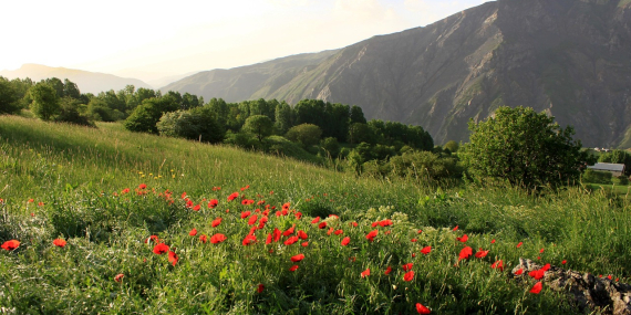Hakkâri Mutlaka Gezilmesi Gereken 10 Yer