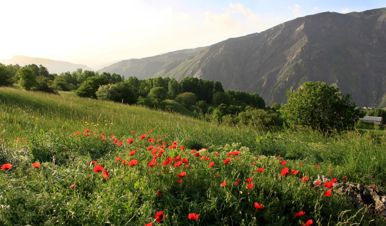 Hakkâri Mutlaka Gezilmesi Gereken 10 Yer