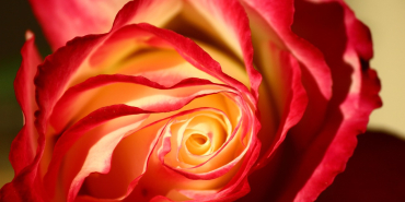 Isparta Mutlaka Gezilmesi Gereken 10 Yer