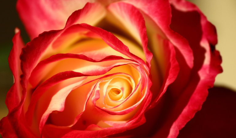 Isparta Mutlaka Gezilmesi Gereken 10 Yer