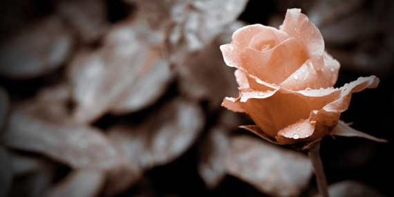 Isparta Yazın Gezilecek Yerler