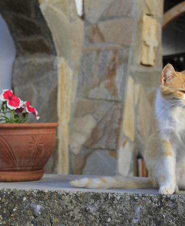 Karaman Mutlaka Gezilmesi Gereken 10 Yer