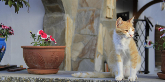Karaman Mutlaka Gezilmesi Gereken 10 Yer