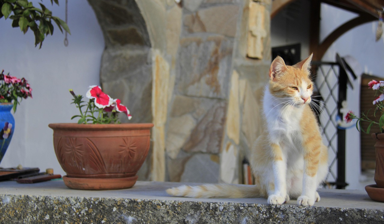 Karaman Mutlaka Gezilmesi Gereken 10 Yer