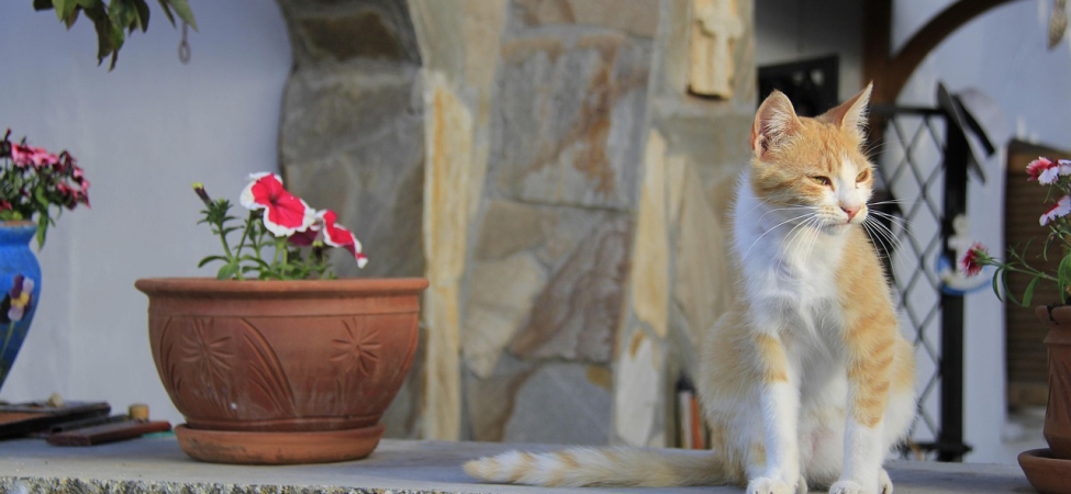 Karaman Mutlaka Gezilmesi Gereken 10 Yer