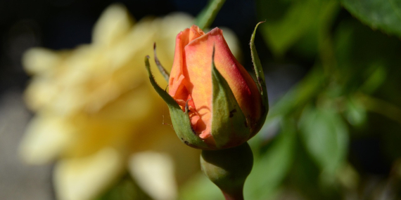 Kırklareli Mutlaka Gezilmesi Gereken 10 Yer
