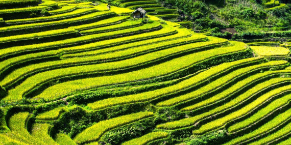 Muş Mutlaka Gezilmesi Gereken 10 Yer