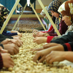 Osmaniye Mutlaka Gezilmesi Gereken 10 Yer