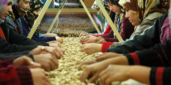 Osmaniye Mutlaka Gezilmesi Gereken 10 Yer