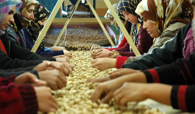Osmaniye Mutlaka Gezilmesi Gereken 10 Yer