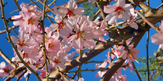 Tekirdağ Mutlaka Gezilmesi Gereken 10 Yer