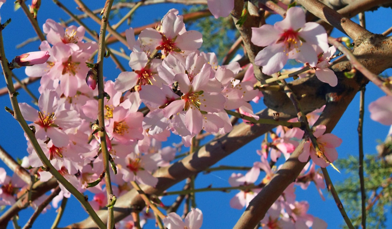 Tekirdağ Mutlaka Gezilmesi Gereken 10 Yer
