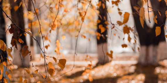 Türkiye Sonbahar Gezilecek Yerler Rehberi