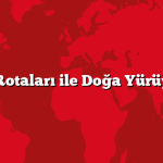 Trekking Rotaları ile Doğa Yürüyüşü Keyfi