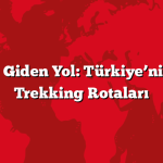 Zirveye Giden Yol: Türkiye’nin En İyi Trekking Rotaları