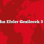 Aydın Efeler Gezilecek 5 Yer