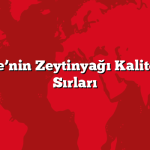 Aydın: Ege’nin Zeytinyağı Kalitesi. Lezzet Sırları