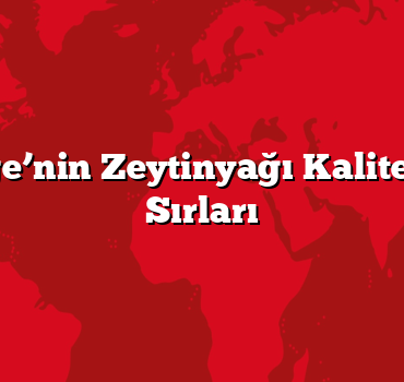 Aydın: Ege’nin Zeytinyağı Kalitesi. Lezzet Sırları