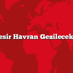 Balıkesir Havran Gezilecek 5 Yer
