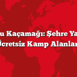 Hafta Sonu Kaçamağı: Şehre Yakın En İyi Ücretsiz Kamp Alanları