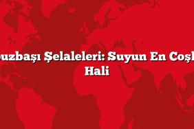 Kapuzbaşı Şelaleleri: Suyun En Coşkulu Hali