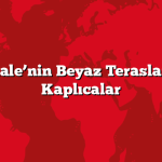 Pamukkale’nin Beyaz Terasları: Doğal Kaplıcalar