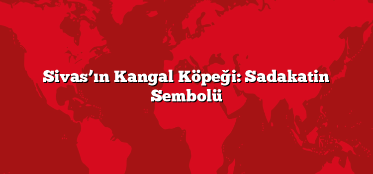 Sivas’ın Kangal Köpeği: Sadakatin Sembolü