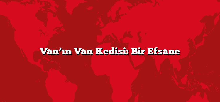 Van’ın Van Kedisi: Bir Efsane