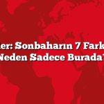 Yedigöller: Sonbaharın 7 Farklı Rengi Neden Sadece Burada?