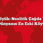 Çatalhöyük: Neolitik Çağda Yaşam. Dünyanın En Eski Köyü