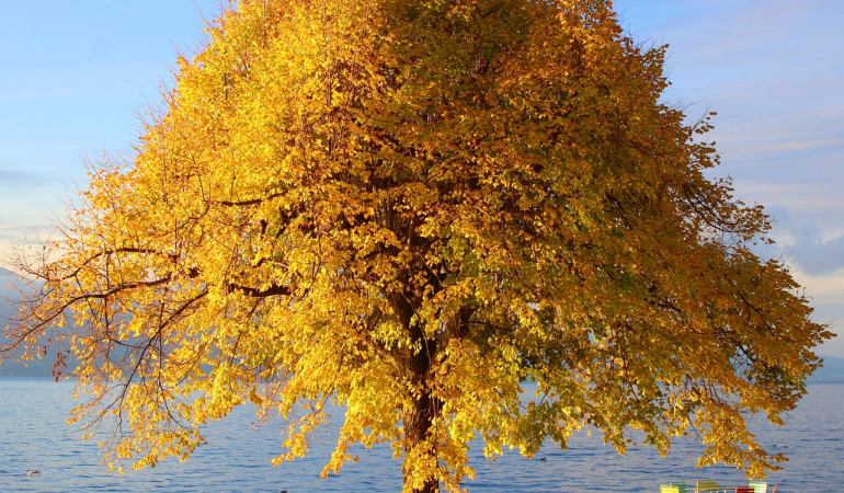 Doğanın Kalbinde: En İyi Yürüyüş Rotaları
