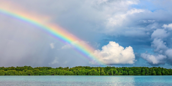 Kampçılar için En İyi Rotalar