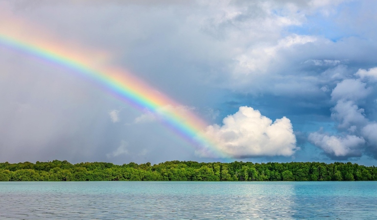 Kampçılar için En İyi Rotalar
