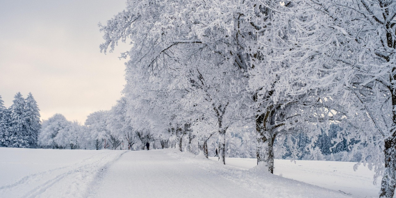 Türkiye’deki En İyi Doğa Yürüyüşü Rotaları