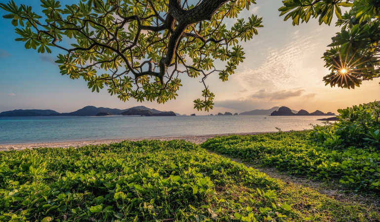 Zorlu ve Keyifli: Doğa Yürüyüşü için En İyi Rotalar