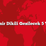 İzmir Dikili Gezilecek 5 Yer